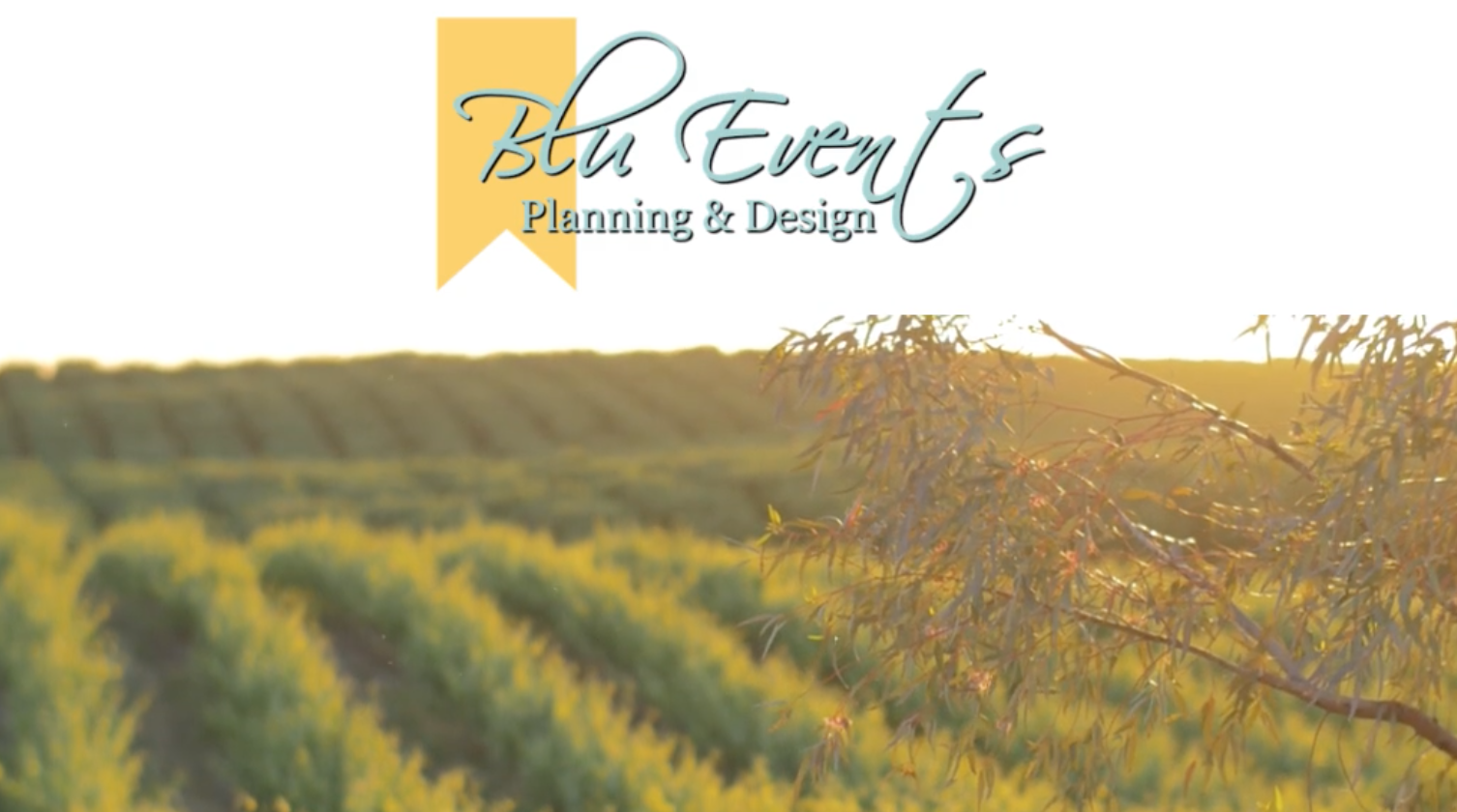 Blu Events Planning & Design | Vendor Spotlight Video